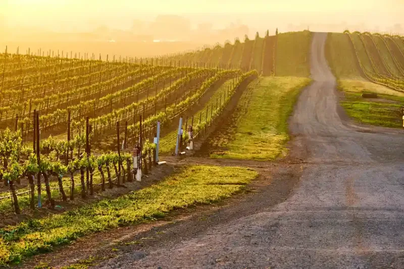 wine tours from napa valley